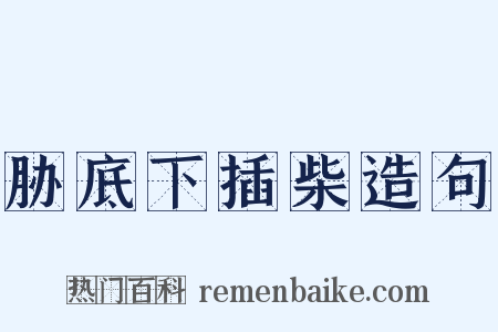 胁底下插柴造句是什么意思的图片